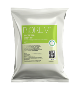 Inicio - Biorem
